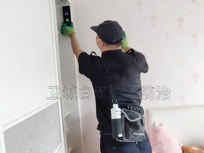 守護南城家園 專業白蟻防治服務，構筑安全防線