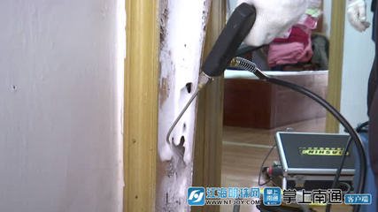 白蟻分飛高峰將至，南通應用新技術提升防治服務水平