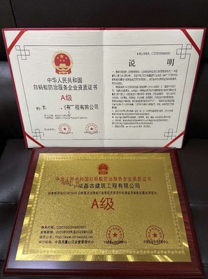 白蟻防治A級資質認證 全國通行，守護您的財產安全